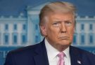 ABC Anchor Admits Truth As Trump’s DC Crackdown Yields Big Results