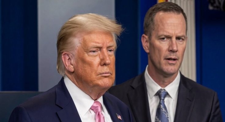 ABC Anchor Admits Truth As Trump’s DC Crackdown Yields Big Results